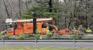  ?? Hearst Connecticu­t Media file photo ?? State workers cut down a tree on the Merritt Parkway on the Milford/Orange border in 2018.