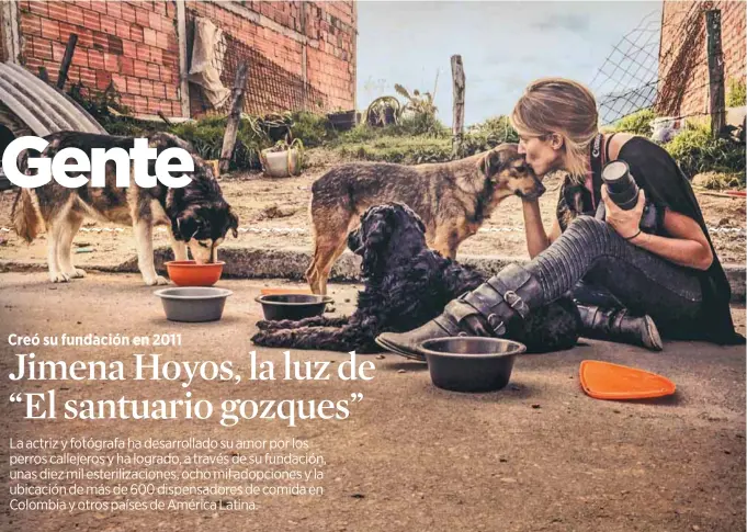  ?? / Cortesía: Gozques.org ?? La actriz y fotógrafa Jimena Hoyos desarrolla­ndo su labor con los perros callejeros.
