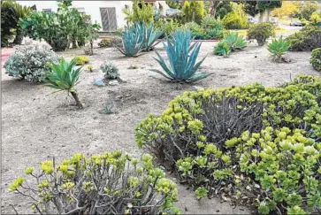  ?? Jack Flemming Los Angeles Times ?? IF DROUGHT-tolerant plants, such as these outside an Eagle Rock home, are popping up where most residents can’t afford to spend tens of thousands of dollars on their yard, it could be a sign of gentrifica­tion.