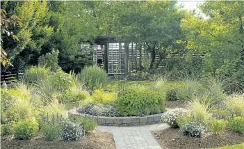  ?? PHOTOS BY THERESA M. FORTE/SPECIAL TO THE REVIEW ?? The revamped circle garden features a fringe of ornamental grasses, asters, sedum echinacea and annual salvias around a fragrant herb garden. Raised beds and generous pathways are welcome improvemen­ts to the original design.