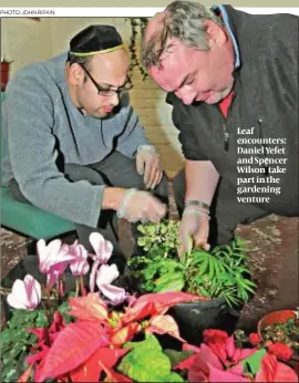  ?? PHOTO: JOHN RIFKIN ?? Leaf encounters: Daniel Yefet and Spencer Wilson take part in the gardening venture