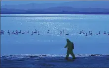  ??  ?? Top: Swans splash into the water. Above: A conservati­on officer disinfects the areas surroundin­g Swan Lake.