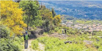  ?? ?? Der Nationalpa­rk Peneda-Gerês ist ein Wanderpara­dies vor den Toren Bragas.