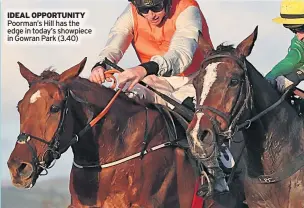  ??  ?? IDEAL OPPORTUNIT­Y Poorman’s Hill has the edge in today’s showpiece in Gowran Park (3.40)