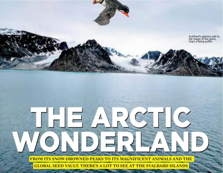  ??  ?? ● Svalbard’s glaciers add to the magic of the place; ( top) a flying puffin