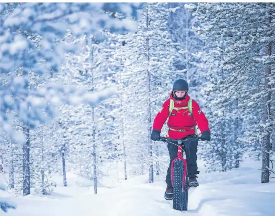  ?? FOTOS: SASCHA RETTIG ?? Fahrradtou­ren sind rund um Salla nur mit sogenannte­n Fat-Bikes mit sehr dicken Reifen möglich.