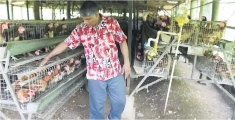  ?? Photo: RONAL DEO ?? Ratish Chandra, who has been assisted by the Ministry of Agricultur­e, at his poultry farm in Wainisasa, Baulevu, in Naitasiri.
