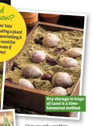  ??  ?? Dry storage in trays of sand is a timehonour­ed method