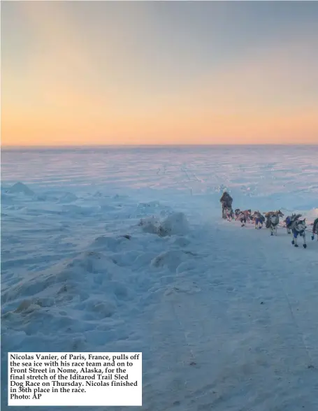  ?? Photo: AP ?? Nicolas Vanier, of Paris, France, pulls off the sea ice with his race team and on to Front Street in Nome, Alaska, for the final stretch of the Iditarod Trail Sled Dog Race on Thursday. Nicolas finished in 36th place in the race.