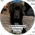  ??  ?? Ready for some company, Hurley?