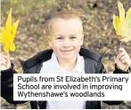  ??  ?? Pupils from St Elizabeth’s Primary School are involved in improving Wythenshaw­e’s woodlands
