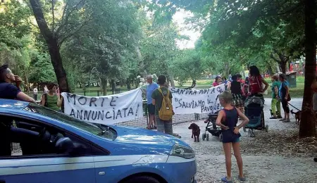  ??  ?? La protesta di ieri pomeriggio dei residenti e degli animalisti contro il Comune dopo la morte della pavonessa al laghetto (foto da Tgregione.it) Sopra, a destra il pavone maschio rimasto solo e disperato: ieri le sue grida sembravano un pianto Qui...