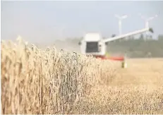  ?? FOTO: RWE POWER ?? Getreideer­nte auf der Königshove­ner Höhe bei Grevenbroi­ch. Nach dem Braunkohle­tagebau wurden die Flächen rekultivie­rt und für die Landwirtsc­haft zur Verfügung gestellt.