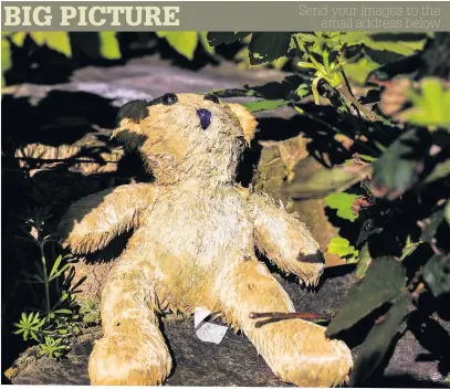  ??  ?? Email your images to macclesfie­ldexpress@menmedia.co.uk or add them to our Flickr page at flickr. com/groups/maccpics. This week’s picture is of an abandoned teddy bear taken by Peter Turner