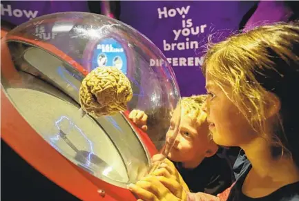  ?? EDUARDO CONTRERAS U-T ?? Siblings Max and Alexa Charalambo­us enjoy a display with a real human brain at the new “Explore Your Brain” exhibit at the Fleet Science Center in Balboa Park this month.