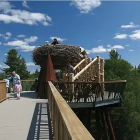  ??  ?? Visitors explore a replica of a bald eagle’s nest, made of woven branches, which offers an exhilarati­ng view of Adirondack peaks.