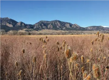  ?? Provided by Mindy Sink ?? A view from the South Boulder Creek Trail.