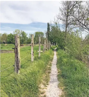  ?? FOTO: DENIZ KARIUS ?? Eine Wanderung entlang der Erft führt durch grüne Landschaft­en und erfordert keine besondere Kondition.