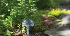  ??  ?? Left, oregano flourishes in the herb garden in Risen’s downtown backyard. Right, waterlilie­s grow in the pools that flow through the property.