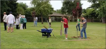  ?? MIKE BUSH/NEWS-SENTINEL ?? More than a dozen people helped plant trees at Henry Glaves Park on Saturday morning as part of Earth Day. Trees were also planted in honor of Joyce Harmon, 90, who has been a member of Tree Lodi since its inception in 2005.