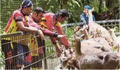  ??  ?? PESERTA program Fellowship Ride To
The Centre of Peninsular Malaysia 2017 berpeluang memberi makan rusa selama 30 minit sempena acara
berkenaan di Deerland Park,
Lanchang.