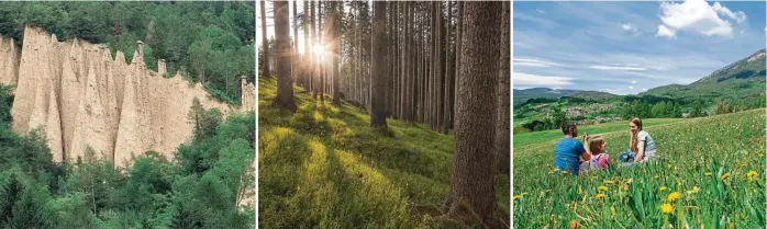  ?? ?? Im Val di Cembra sind die Erdpyramid­en zu finden (l.). Das Val di Fiemme ist für seine Wälder bekannt – die Fichten werden für den Geigenbau verwendet (M.). Im Frühling erstrahlen die Wiesen in bunten Farben. Fotos: Mario Debiasi, Luciano Gaudenzio, Paolo Marelli