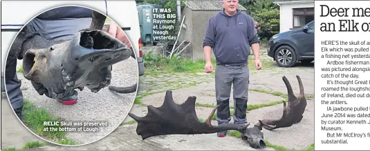  ??  ?? RELIC Skull was preserved at the bottom of Lough IT WAS THIS BIG Raymond at Lough Neagh yesterday