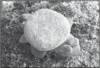  ?? Photo Credit: Donna Erickson ?? By using flat rocks and pebbles, anyone can craftily make a turtle.