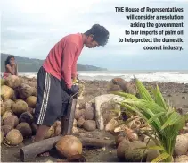  ??  ?? THE House of Representa­tives will consider a resolution asking the government to bar imports of palm oil to help protect the domestic coconut industry.