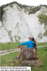  ??  ?? Seating at the Mangaweka picnic area was a nicely carved tree stump.