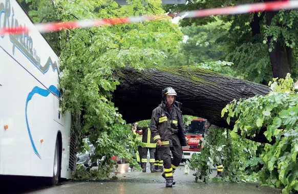  ??  ?? Il tiglio crollato sul pullma turistico nel lungarno del Tempio Sotto i Vigili del Fuoco impegnati a liberare il bus La strada è rimasta chiusa per quattro ore