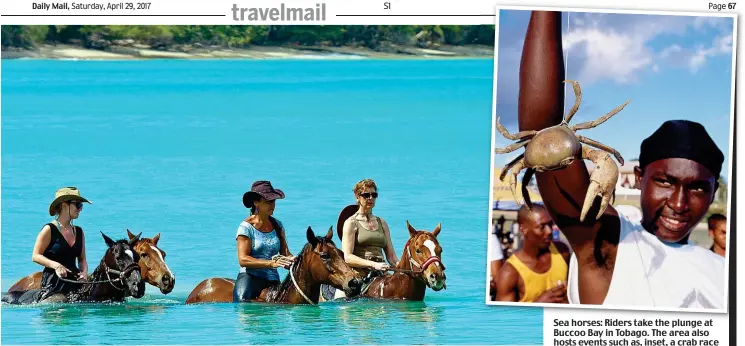  ??  ?? Sea horses: Riders take the plunge at Buccoo Bay in Tobago. The area also hosts events such as, inset, a crab race