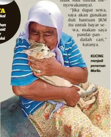  ??  ?? KUCING menjadi peneman Marlia.