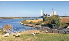  ?? RP-ARCHIV: SCHILD ?? Bei Dinslaken fließt die Emscher in den Rhein und führt Schadstoff­e mit. Seit Oktober gibt es stark erhöhte Dioxan-werte.