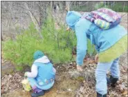  ??  ?? At Camp Saratoga, people work to help the endangered Karner Blue Butterfly.