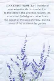  ??  ?? CLOCKWISE FROM LEFT Traditiona­l enamelware adds bursts of colour to the kitchen; the pine-clad hallway; the extension’s faded green oak echoes the design of the slate chimney; inviting views of the sea from the garden