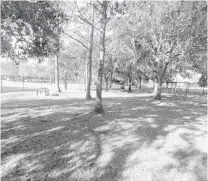  ??  ?? Trees provide nice shade at Downey Dog Park.