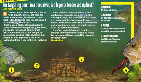 For targeting perch in a deep river, is a leger or feeder set-up