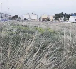  ?? EVA BELLIDO ?? La parcela está en la calle Severo Ochoa, en la zona de Els Quarts.