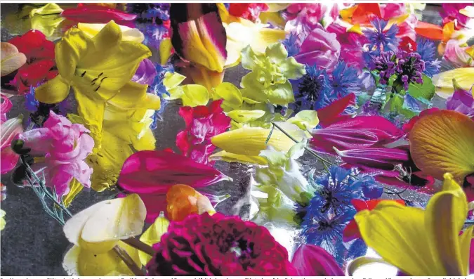  ??  ?? Das Verspeisen von Blüten hat bei uns nur begrenzt Tradition. Farben- und Formenviel­falt haben dazu verführt, sie auf das Dekorative zu reduzieren und am Tellerrand liegen zu lassen. Das soll sich ändern