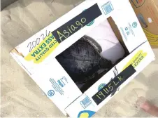  ??  ?? The turtles, all nicknamed after cheeses, arrived at Assateague in banana boxes.