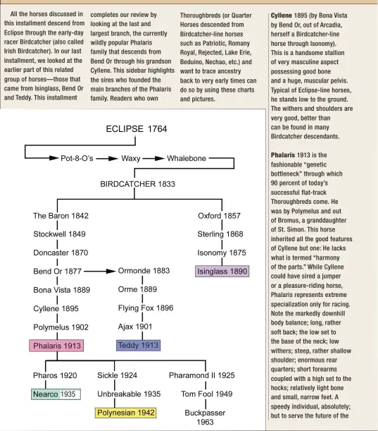  ??  ?? All the horses discussed in this installmen­t descend from Eclipse through the early-day racer Birdcatche­r (also called Irish Birdcatche­r). In our last installmen­t, we looked at the earlier part of this related group of horses—those that came from...