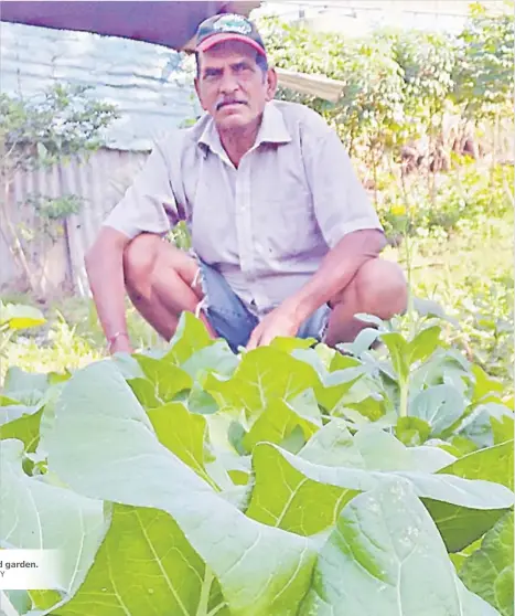  ?? Picture: NAVNESH REDDY ?? Anil Kumar in his backyard garden.