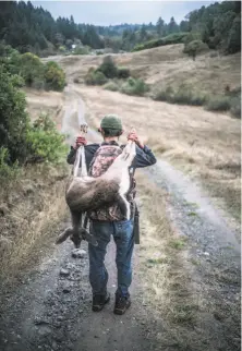  ??  ?? Brian Nez carries a deer along a trail during a hunt at Sherwood Rancheria in Mendocino County.