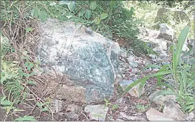  ?? (File pics). ?? A sample of Green Chert rock presented in court. (R) The Green Chert rock at Malolotja Nature reserve.