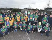  ??  ?? Millstreet Juvenile GAA Club came out in force to support the local St Patrick’s Day parade.