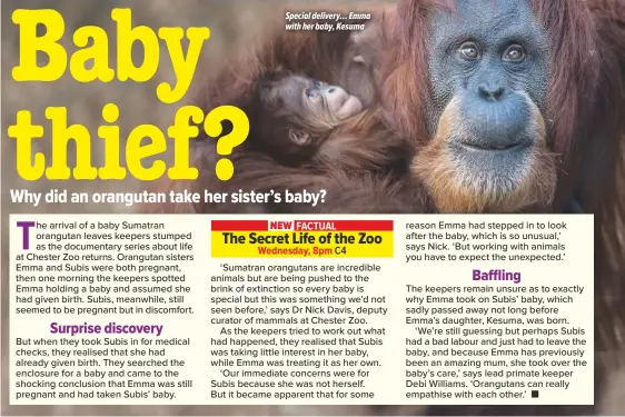  ??  ?? Special delivery… Emma with her baby, Kesuma
Factual
The Secret Life of the Zoo
Wednesday, 8pm