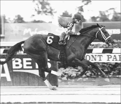  ?? ADAM COGLIANESE/NYRA ?? Nashua contender Avery Island wins a maiden race by 5 1/4 lengths in the mud at Belmont.