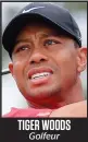  ??  ?? TIGER WOODS
Golfeur