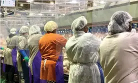  ?? Photograph: AP ?? Employees work at a Tyson Foods poultry processing plant in Camilla, Georgia, in April 2020. Tyson’s legal department wrote the draft executive order to force meat plant workers to keep working.